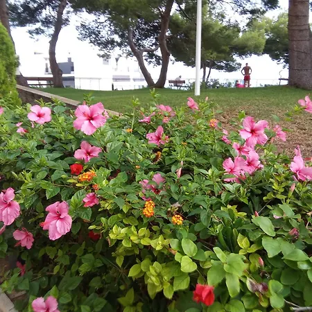 Nuevo Apto Balcon De Poniente 1 A Linea Playa Torre 2 Luxe Sm Con Aire, Piscina,jar Vistas Espectaculares Al Mar De Lägenhet Benidorm