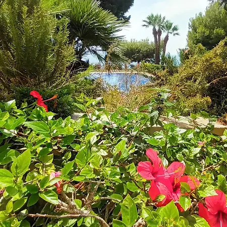 Lägenhet Nuevo Apto Balcon De Poniente 1 A Linea Playa Torre 2 Luxe Sm Con Aire, Piscina,jar Vistas Espectaculares Al Mar De Benidorm